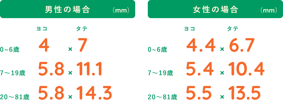 男女別平均的な耳の穴のサイズ表